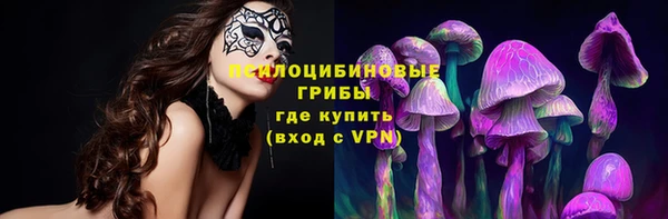 jwh Майский