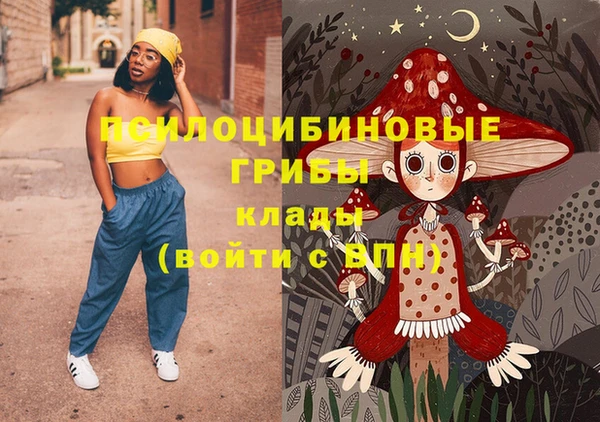 гашик Анива