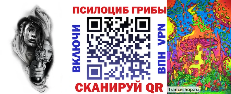 цены наркотик  Павлово  Псилоцибиновые грибы Psilocybe 